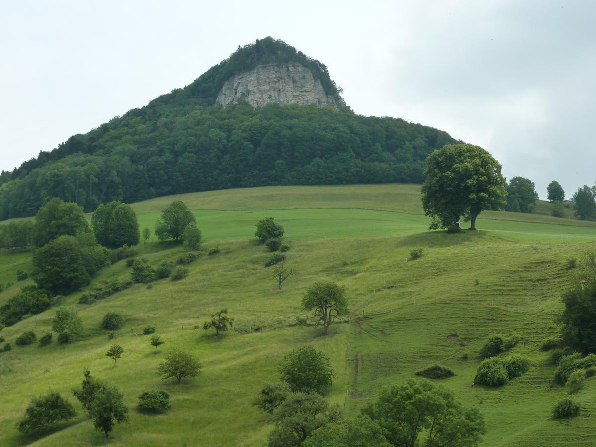 Gasthof Loewen Wisen Екстериор снимка